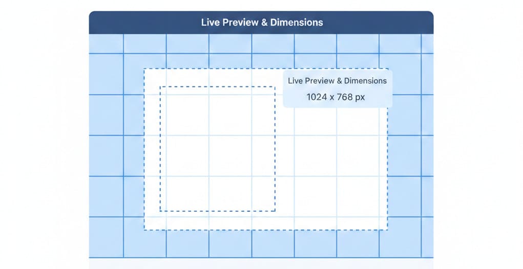 Live Preview & Dimensions